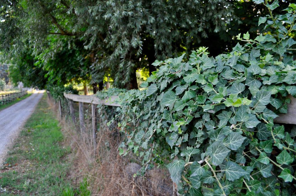 Le Macine Relais Bed & Breakfast Cairo Montenotte Exterior photo